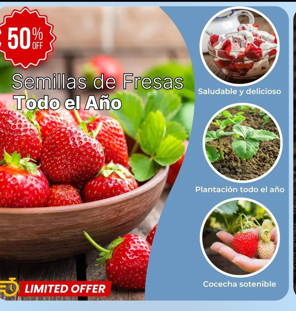 Miniatura 3 de SEMILLAS DE FRESA